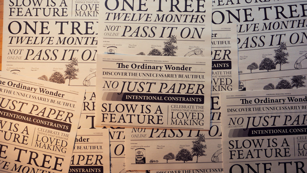 The Ordinary Wonder