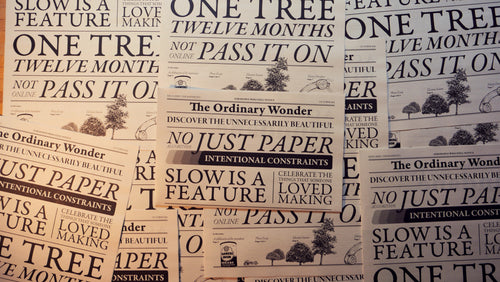 The Ordinary Wonder